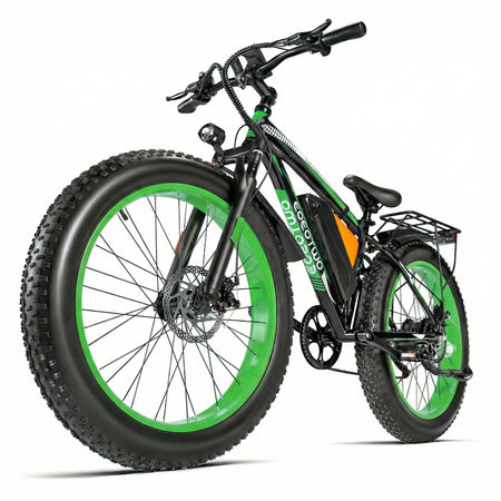 green / 24h Shipping / United States / 1 Year Warranty