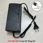 36V 48V 60V 72V Charger 2A 3A 5A Lithium Battery Pack 42 54.6 67.2 84V 10 13 16 20S DC EU Smart Intelligent Fast Charging Charge DC 72V 20S 84V-EU