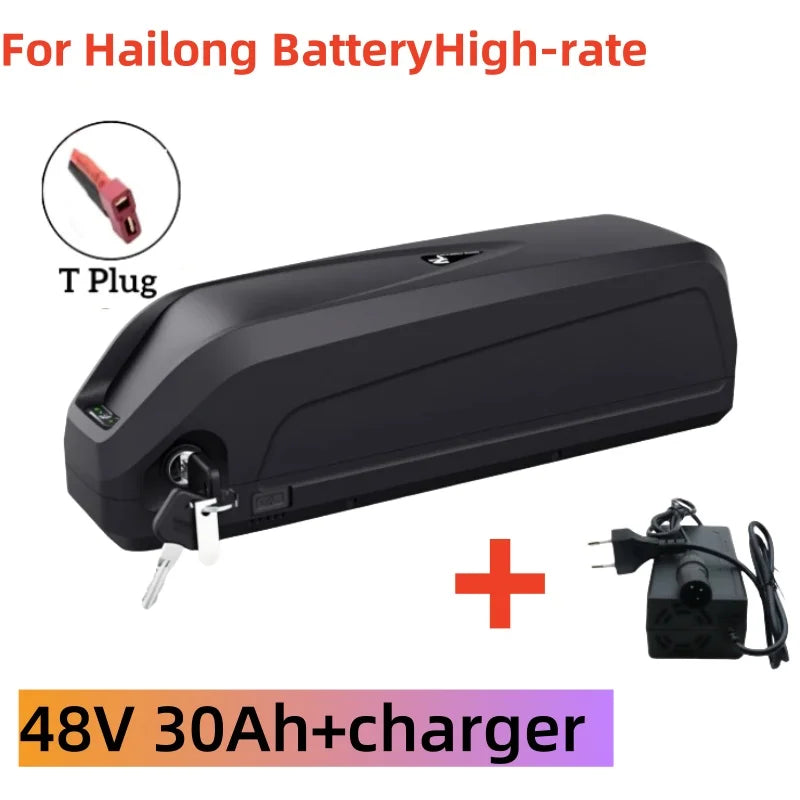 48V 30AH-T CAR-1