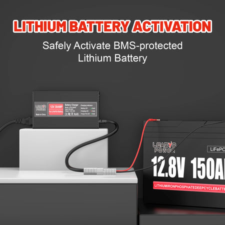 30a-high-power-lifepo4-charger-with-anderson-plug