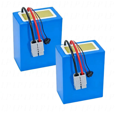 High Capacity Lithium Polymer Battery for Scooter and Tricycle