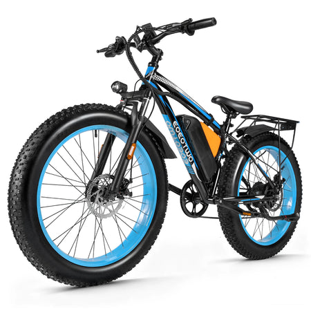 blue / 24h Shipping / United States / 1 Year Warranty