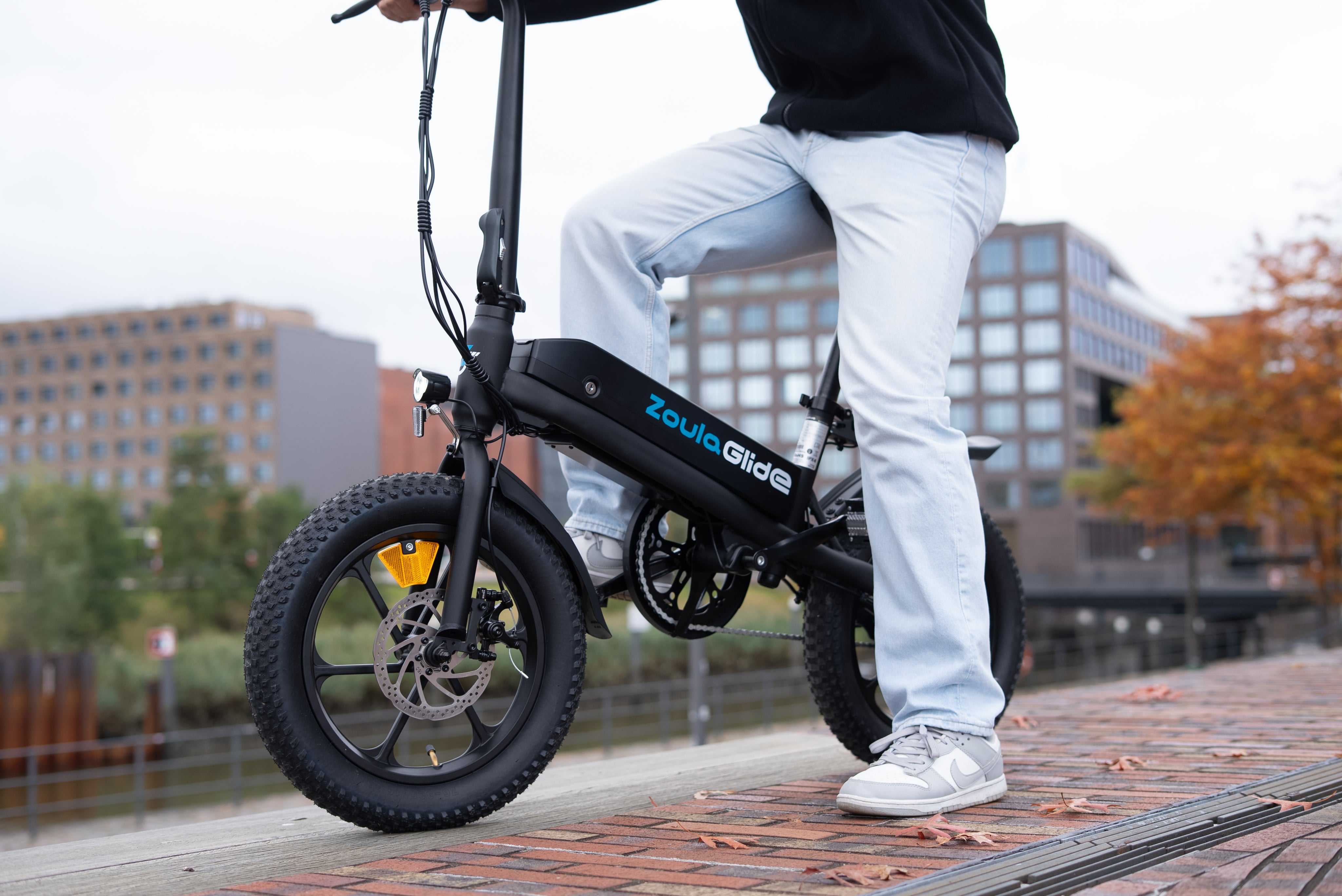   S5 16x3" Foldable Electric Bike - 350W Motor, 36V Battery, Dual Disc Brakes