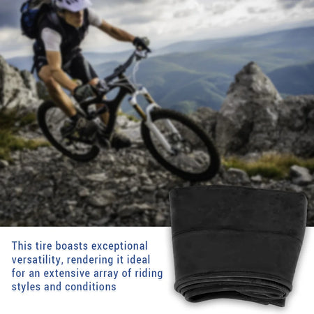   20 x 3.0 Inch Fat Bike Tire - Rubber Folding Tire