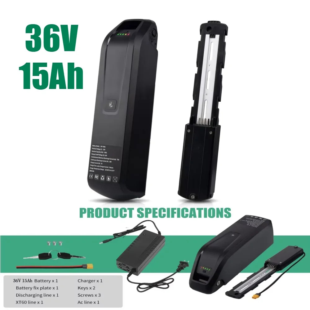 Universal Hailong ebike battery for DIY ebike conversion