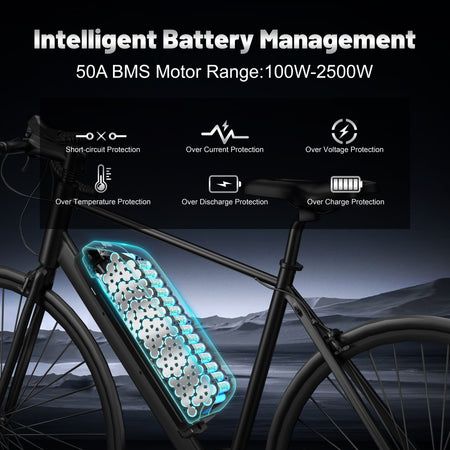   Polly 52V 20Ah / 25Ah E-Bike Battery Pack with 4A Charger & Lock – Lithium-Ion Battery for 0–1500W Electric Bikes, USB Port, 4-Pin Base Plate