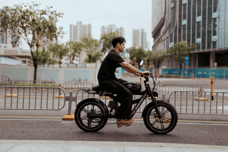   DUOTTS F20 Electric Bike - 1000W All Terrain Fat Tire MTB