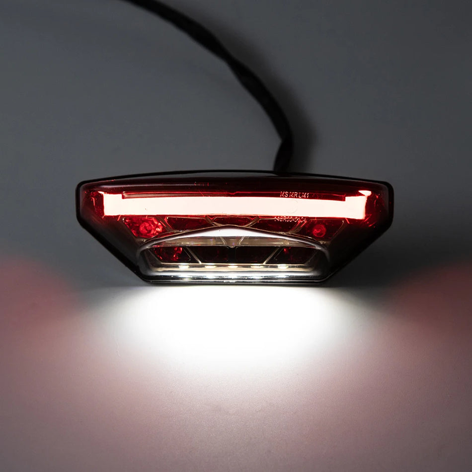   12V Motorcycle LED Tail Lights