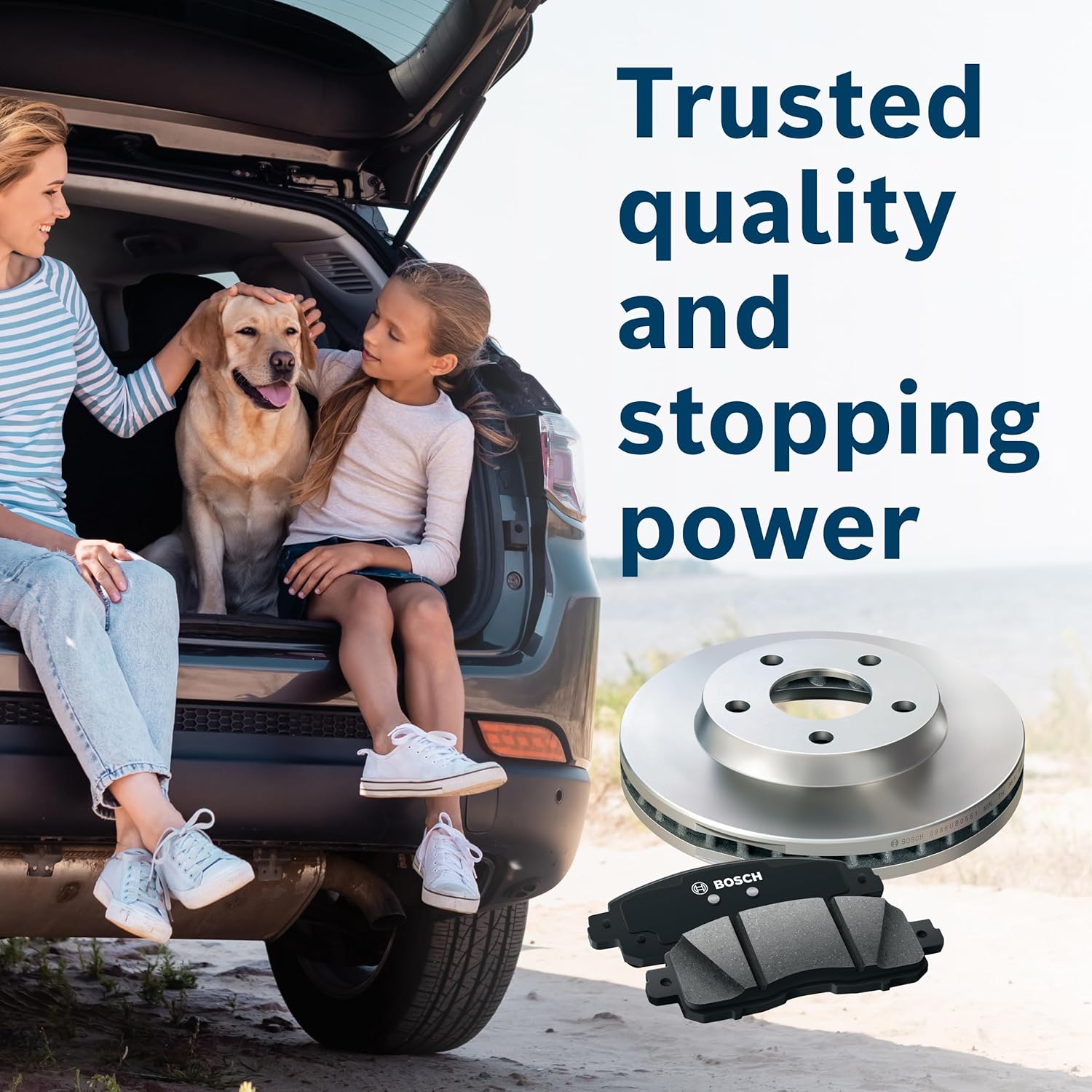   BOSCH BC1212 QuietCast Premium Ceramic Disc Brake Pad Set - Rear for Select Lexus, Pontiac, and Toyota Vehicles