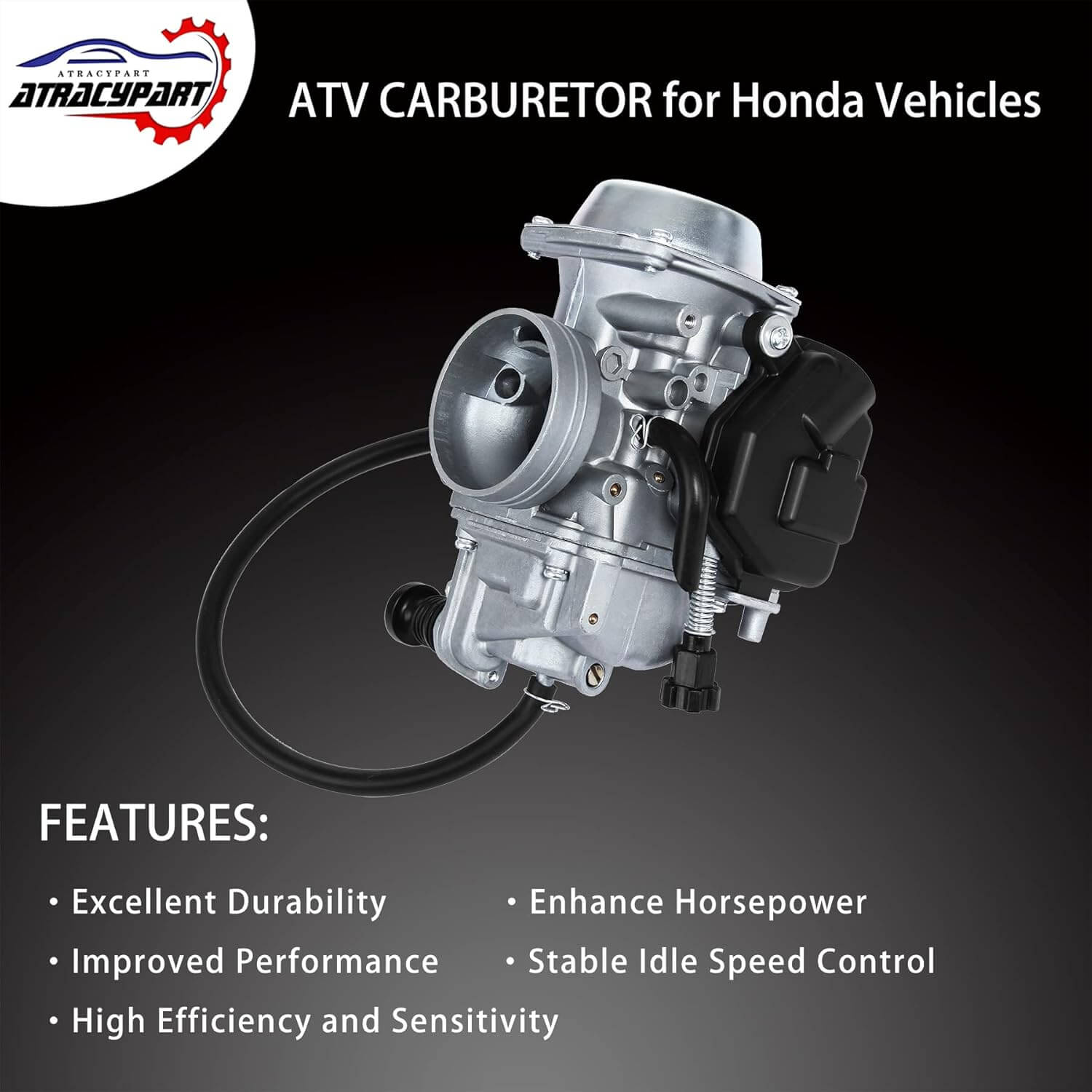carburetor for Honda TRX300FW 1993 2000 models