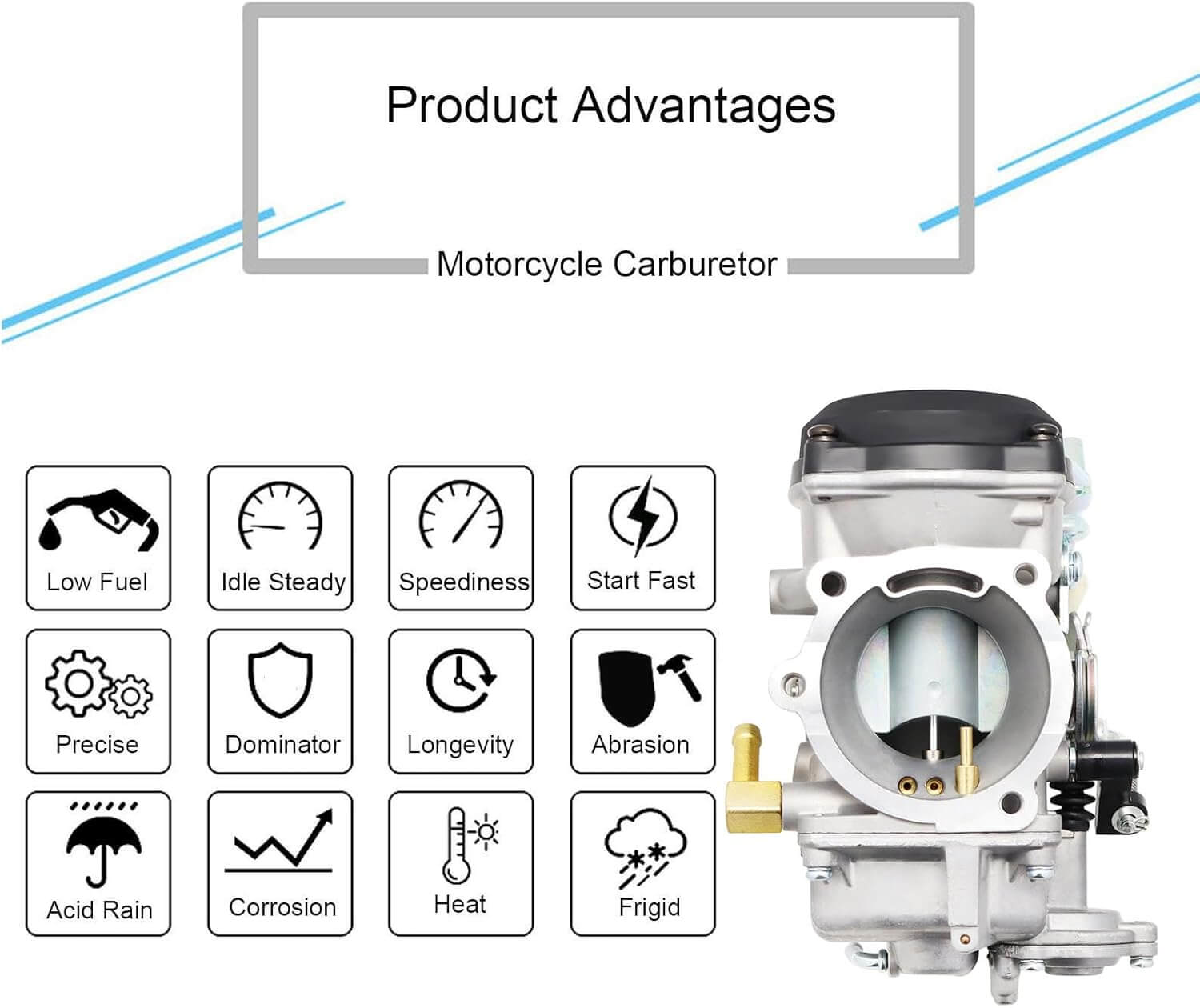 carburetor kit with fuel lines and spark plugs
