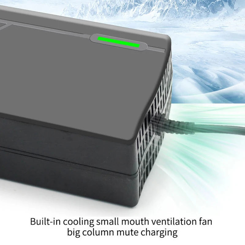   WAPUNO 36V 48V 60V 72V Charger for Lithium Battery Packs