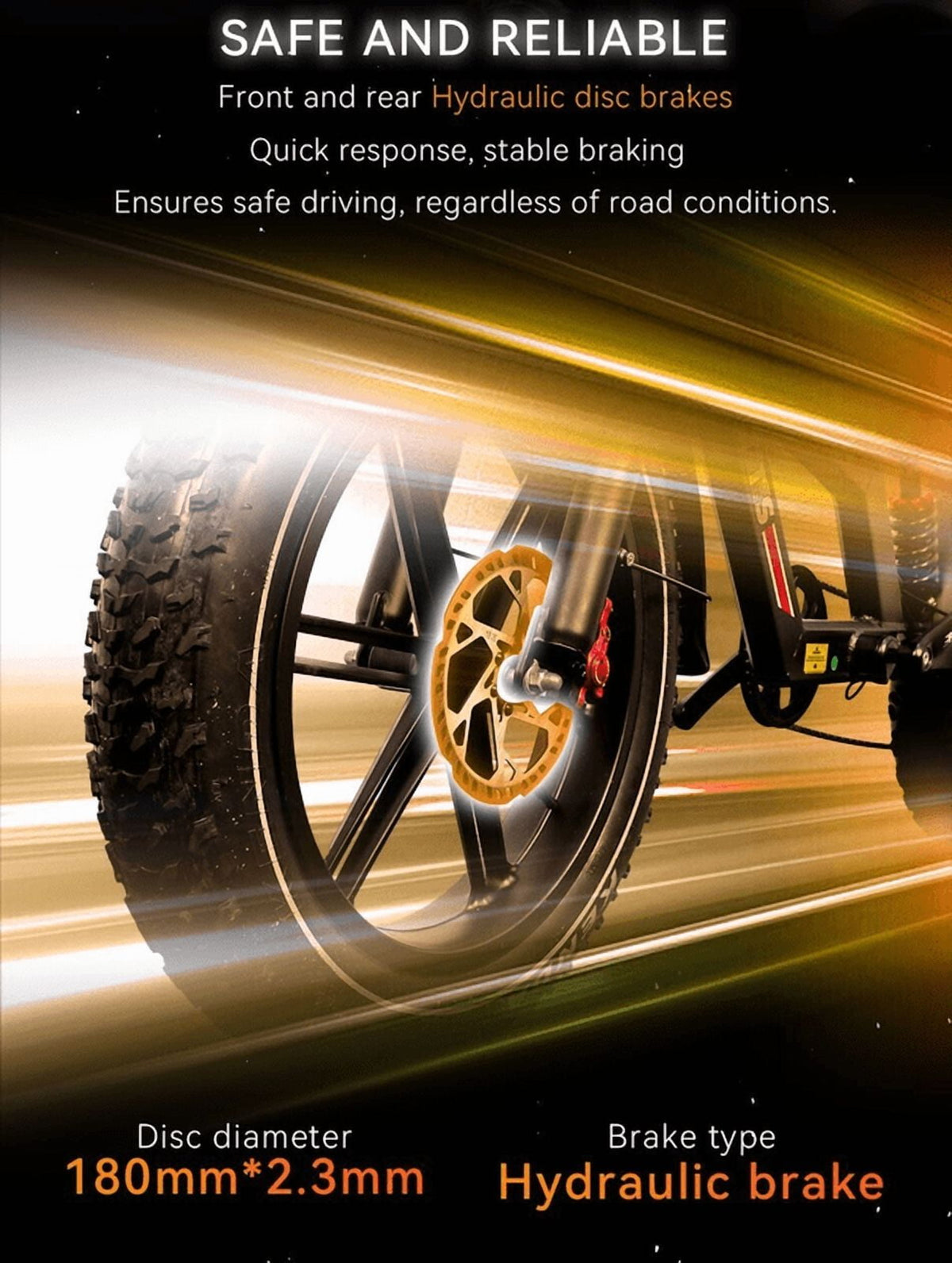   DUOTTS F20 Electric Bike - 1000W All Terrain Fat Tire MTB