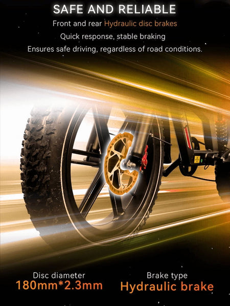   DUOTTS F20 Electric Bike - 1000W All Terrain Fat Tire MTB