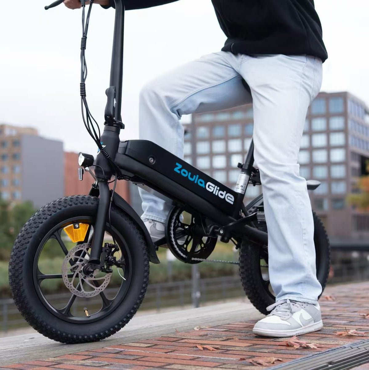   S5 16x3" Foldable Electric Bike - 350W Motor, 36V Battery, Dual Disc Brakes