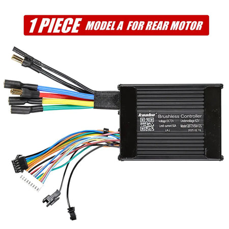 sine wave controller dual motor