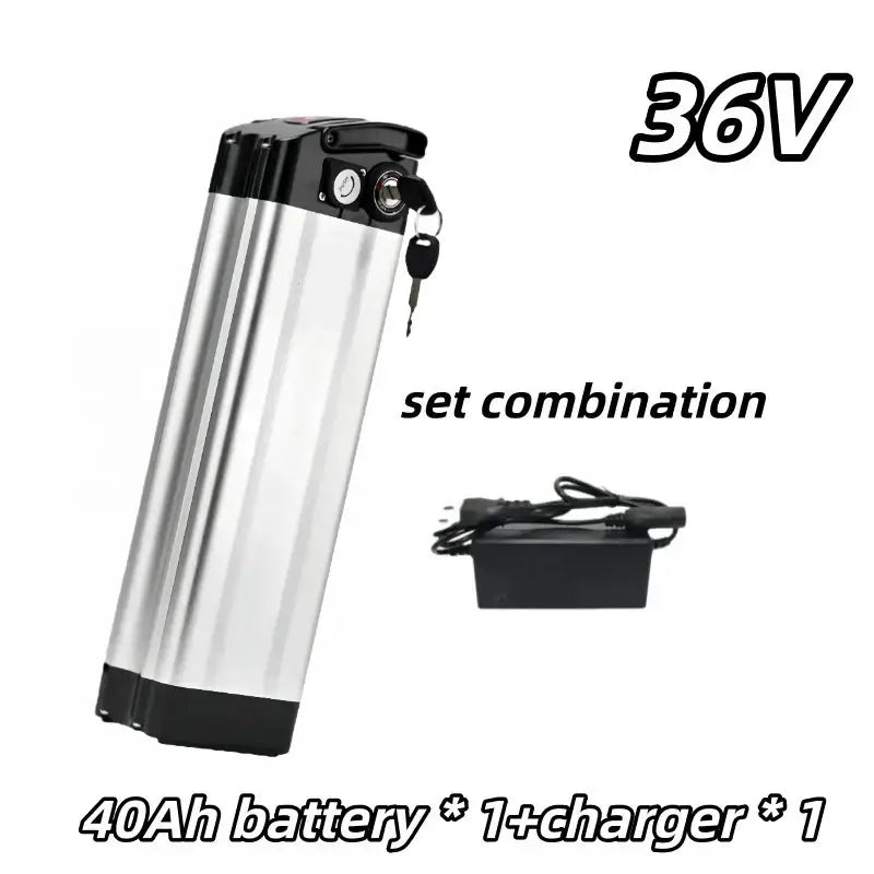 Universal 36V Silver Fish Lithium-ion Battery (15Ah-60Ah) for Folding Bikes with Built-in BMS set combination with charger.